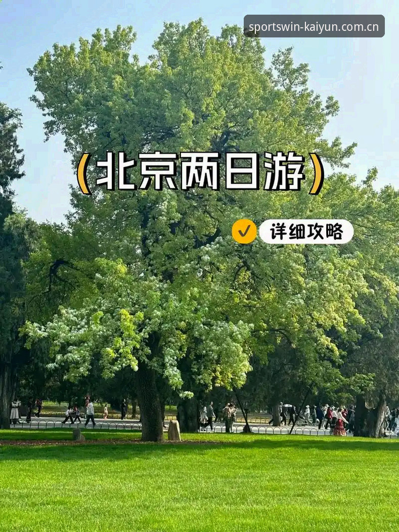 开云会员中心评测 开云体育官网会员中心完整使用指南:新手注册到深度体验全攻略
